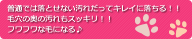 普通では落とせない汚れだってキレイに落ちる